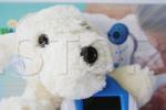 Wireless Audio Camera Baby Monitor ascunsa in jucarie